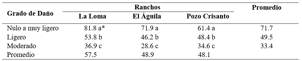 Producci&oacute;n de semilla bruta fresca y sucia al momento de la cosecha de zacate buffel kgha afectada en diversas intensidades por el Tiz&oacute;n foliar durante los veranos de 2016 y 2017 en tres predios ganaderos de la regi&oacute;n central de Sonora M&eacute;xico
