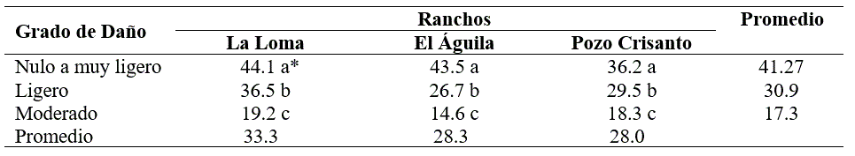Producci&oacute;n de semilla limpia de zacate buffel kgha afectada en diversas intensidades por el Tiz&oacute;n foliar durante los veranos de 2016 y 2017 en tres predios ganaderos de la regi&oacute;n central de Sonora M&eacute;xico