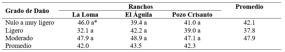 ** Merma obtenida % en la semilla de zacate buffel cosechada en praderas de zacate buffel afectadas en diferente intensidad por Tiz&oacute;n foliar durante los veranos de 2016 y 2017 en tres predios ganaderos de la regi&oacute;n central de Sonora