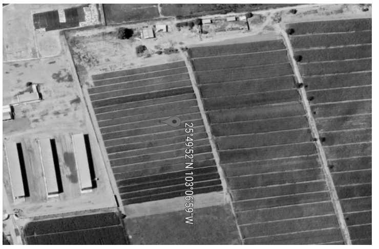 Fotografa satelital de la zona de estudio.