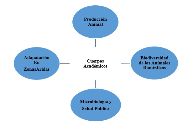 Cuerpos Académicos (CA’s) que se desprenden después de la ruptura originada por la política institucional.