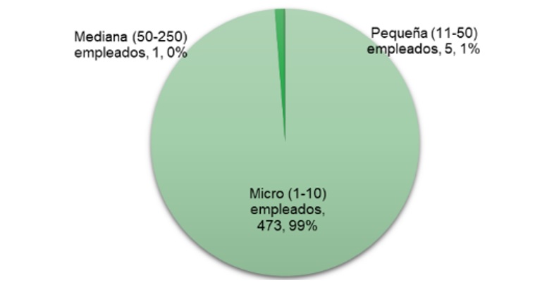 Tamao de la Empresa.