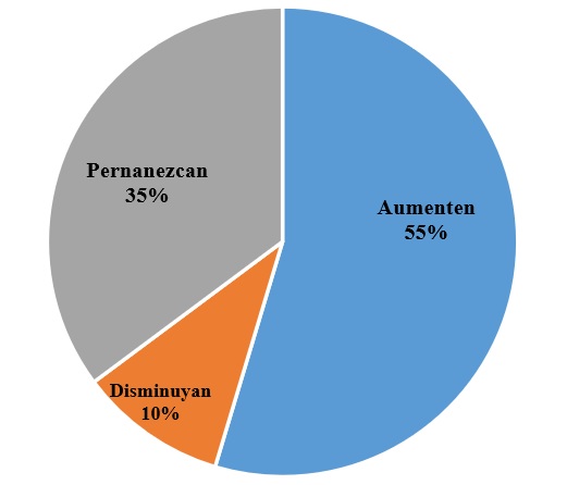 Afectaciones en Ingresos de la Empresa.