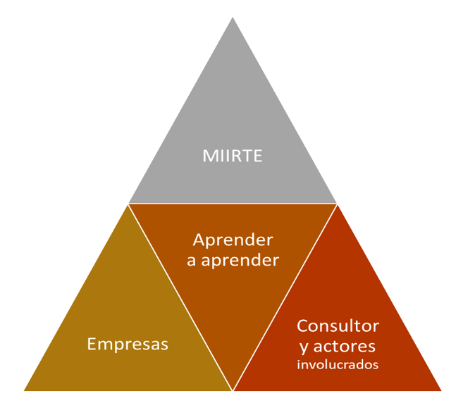 Enfoque sist�mico del MIIRTE
