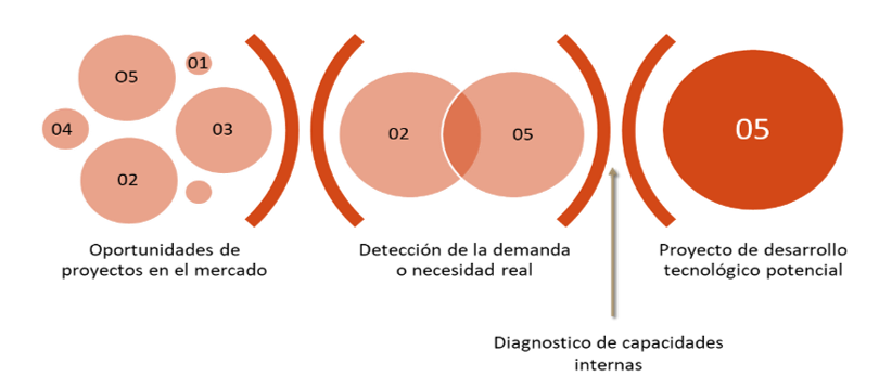 Proceso de decisi�n de proyectos tecnol�gicos