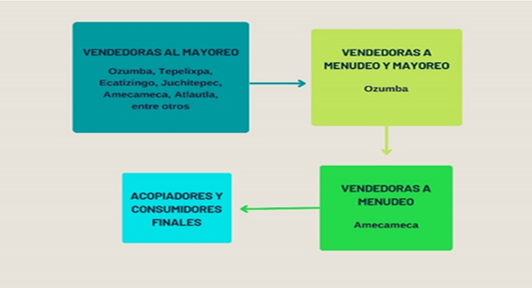 Cadena de suministro de plantas aromáticas en el tianguis de Amecameca, Estado de México.