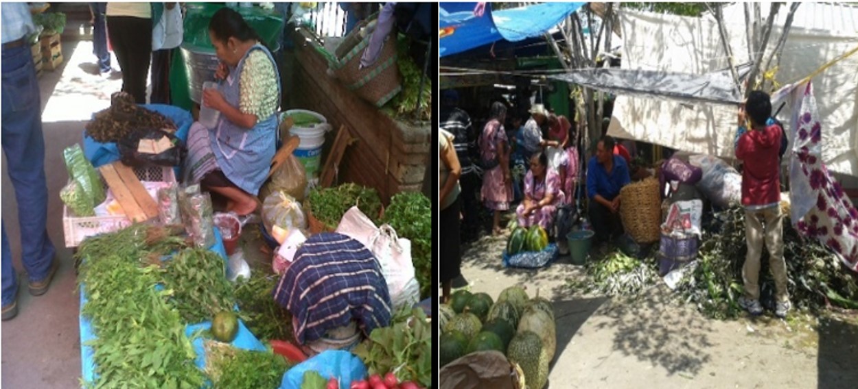 Vendedoras de hierbas aromáticas en el mercado de Amecameca, Estado de México.
