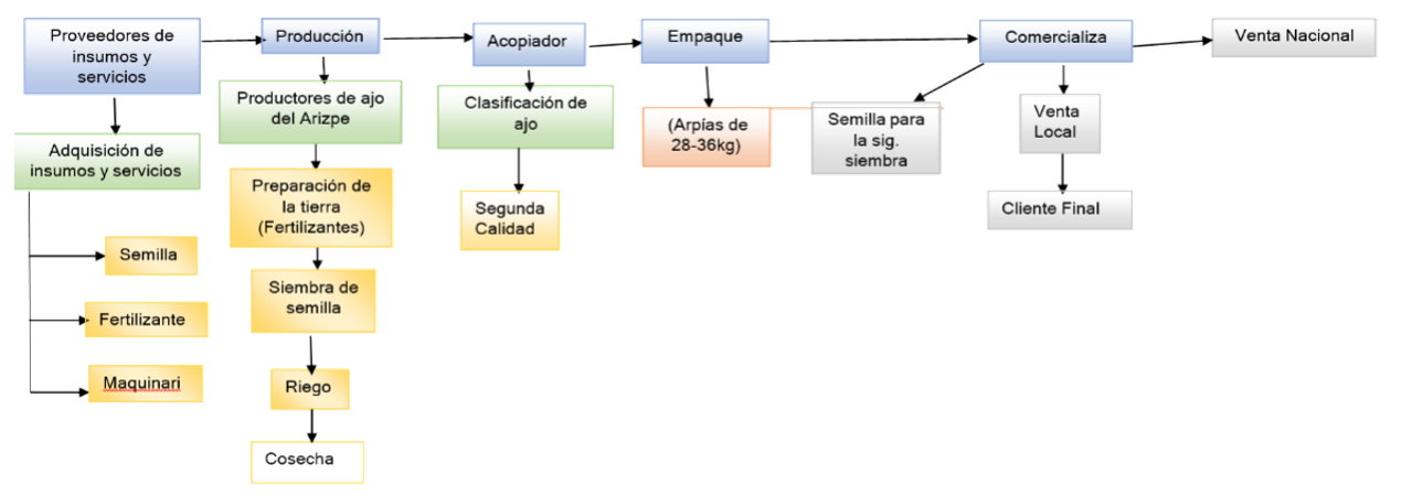 Cadena de valor de la producci�n de ajo de segunda calidad.
