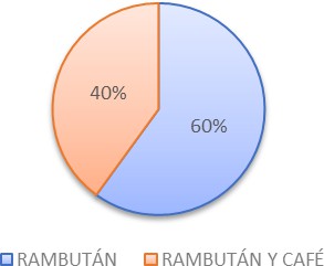 Figura 1. En su terreno tiene produccin simultnea de caf y rambutn o cultiva nicamente rambutn?