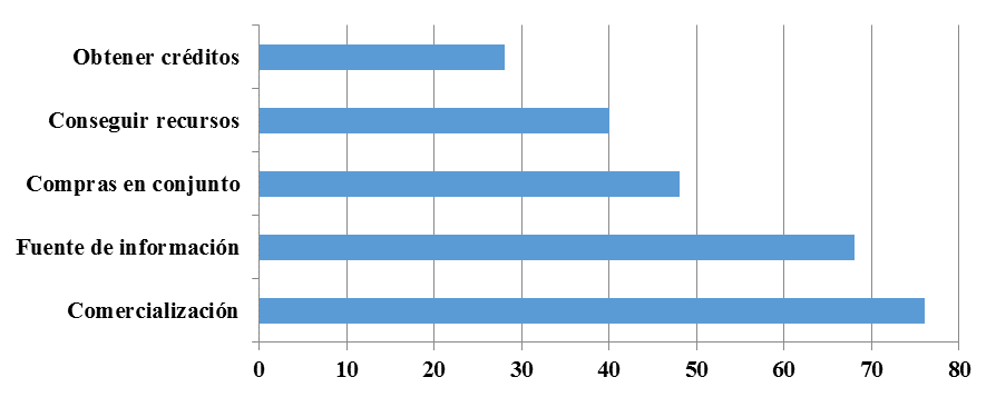Ventajas obtenidas por estar integrado a organizaciones de productores.
