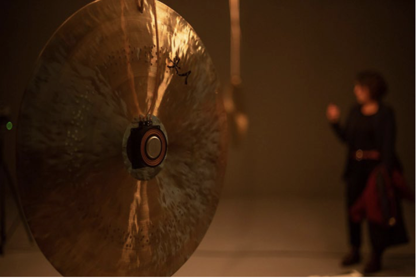 Vista de exposio de Poetry as an echological survival  Carlos Lobo