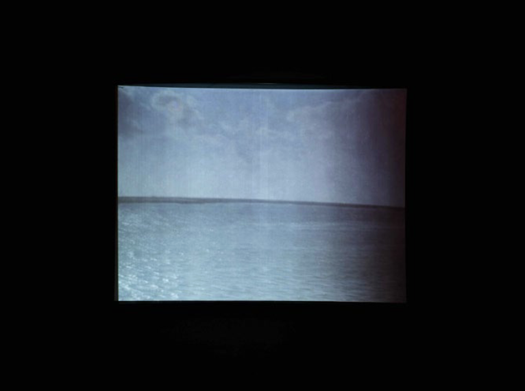 Vista de exposio de Poetry as an echological survival  Carlos Lobo