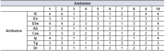 Valor de la moda de los atributos de los perfiles culturales en cada ambiente.