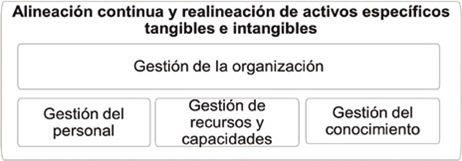 Procesos vinculados a la capacidad de mantenimiento o reconfiguración