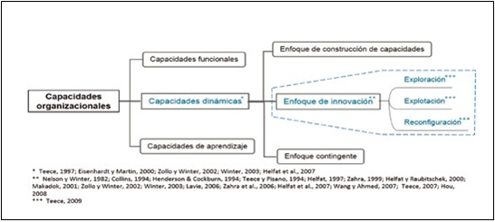 Desglose de capacidades dinámicas para la innovación