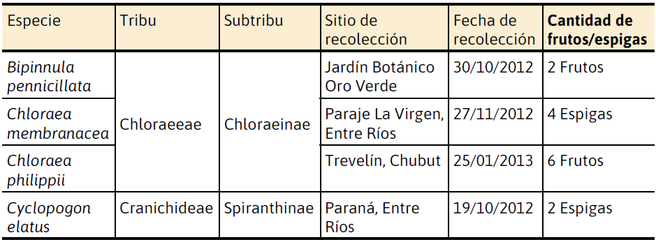 Ubicaci�n taxon�mica de las cuatro especies de orqu�deas estudiadas, y lugar y fecha de recolecci�n de muestras