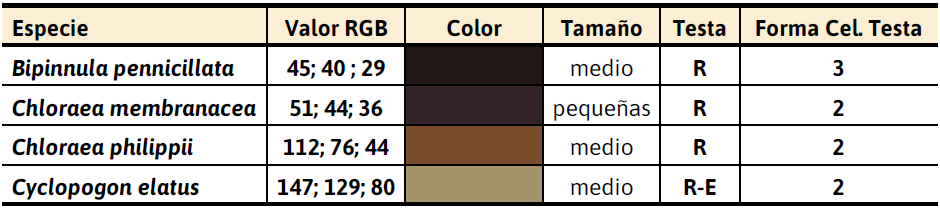 Colores del �pool� de semillas de orqu�deas, tama�o, tipo y forma de las c�lulas de la testa