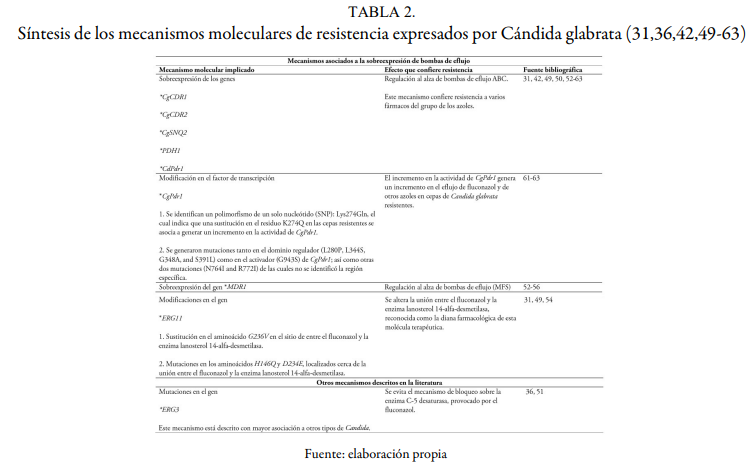 S&iacute;ntesis de los mecanismos moleculares de resistencia expresados por C&aacute;ndida glabrata (31,36,42,49-63)