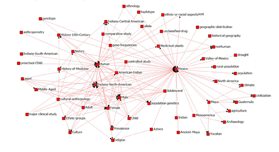 Red de co-palabras de la literatura sobre los indígenas de México