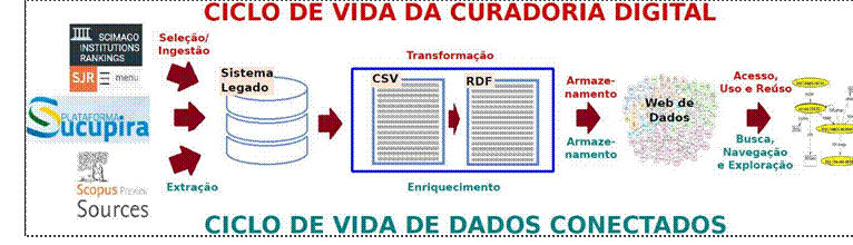 Representação do procedimento metodológico 