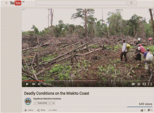 DESTRUCCIÓN AMBIENTAL EN WASPAM