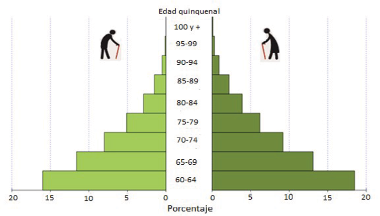 ESTRUCTURA POR EDAD Y SEXO DE LA POBLACIÓN ADULTA MAYOR DEL ESTADO DE MÉXICO