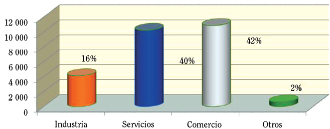 Gráfico 5