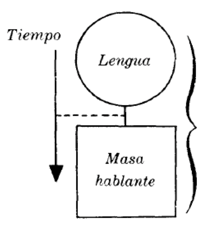 Relacin tiempo, lengua y masa
