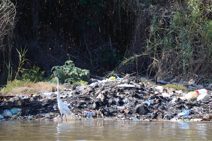 Basura en la orilla del manglar que rodea Mexcaltitn, Mxico, 2022