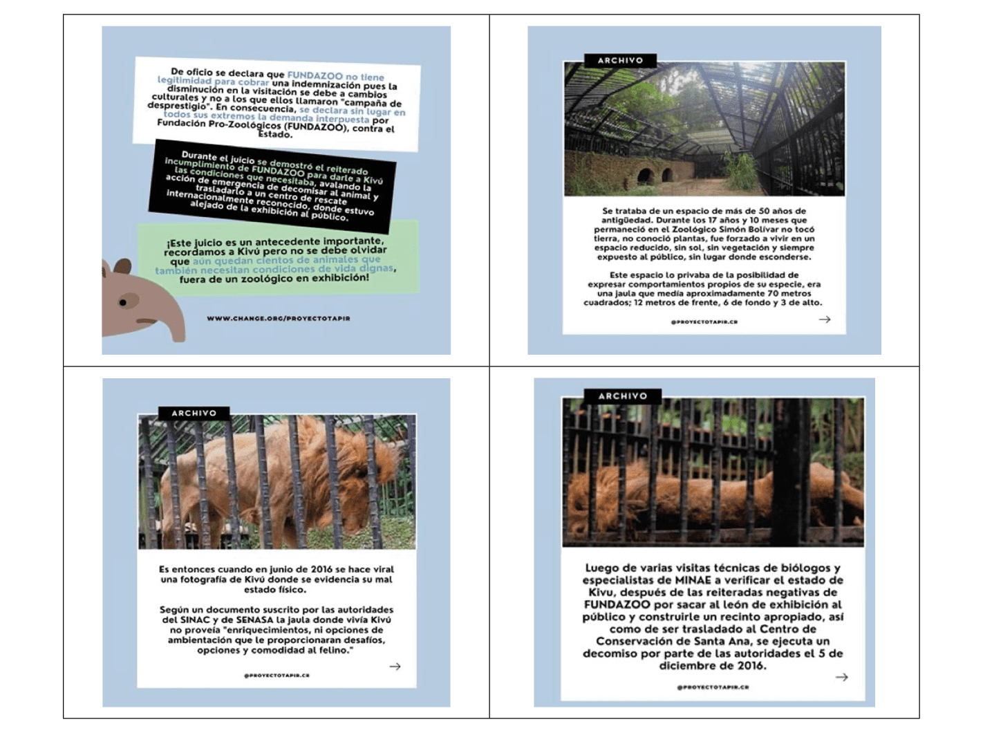 Informaci�n relacionada con el encierro del le�n Kiv�, Zool�gico Sim�n Bol�var, 2022