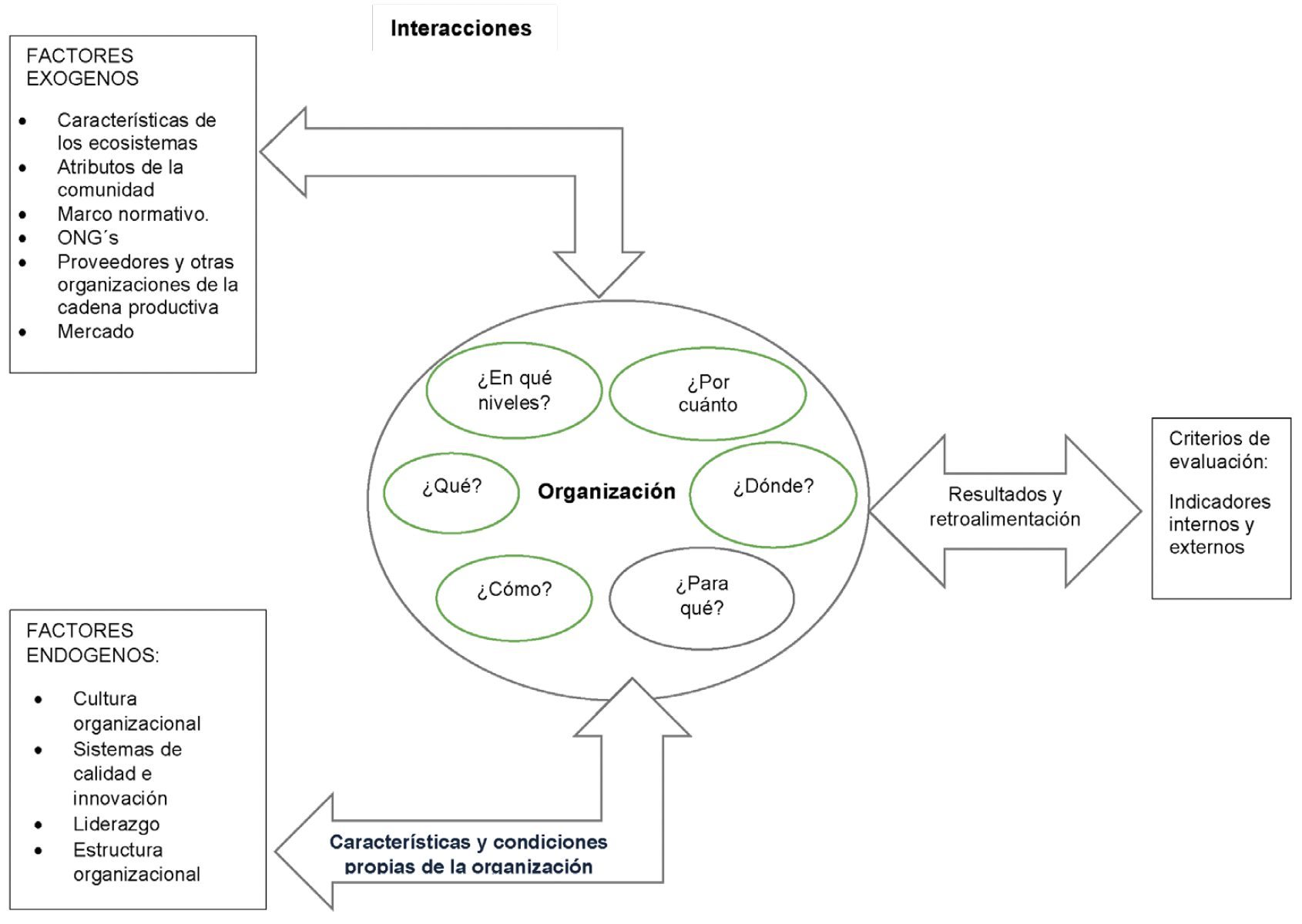 El proceso de la sostenibilidad en las organizaciones