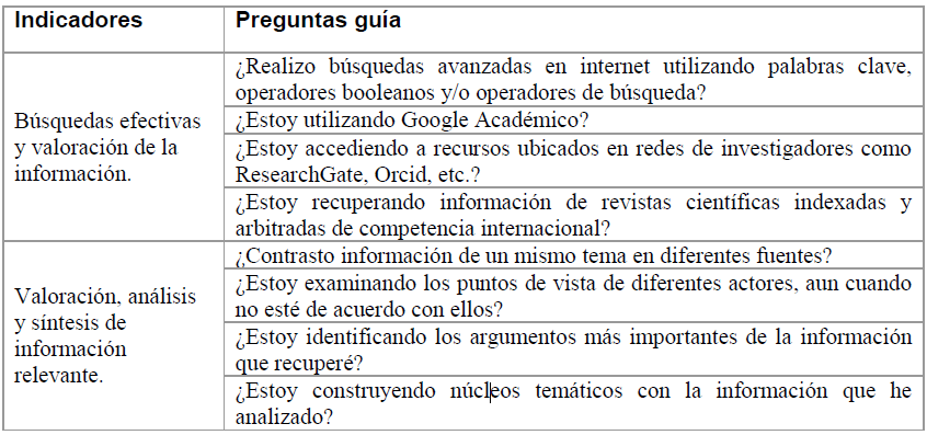 Indicadores de literacidad digital para el estado del arte