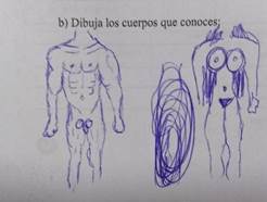 Cuerpos binarios genitalidad, enmarcados en los patrones de bellezas (HHPi2)