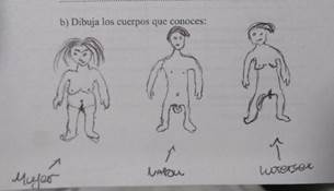 Cuerpos representados desde la genitalidad (nombra que dibuja) (ECD2)