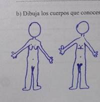 Cuerpos binarios desde la genitalidad modelo biologicista (EFD 1)