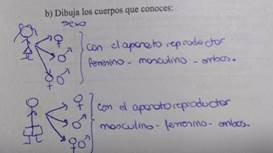 Cuerpos de manera esquemtica, con una explica del modelo biologicista (ECBPi 9)