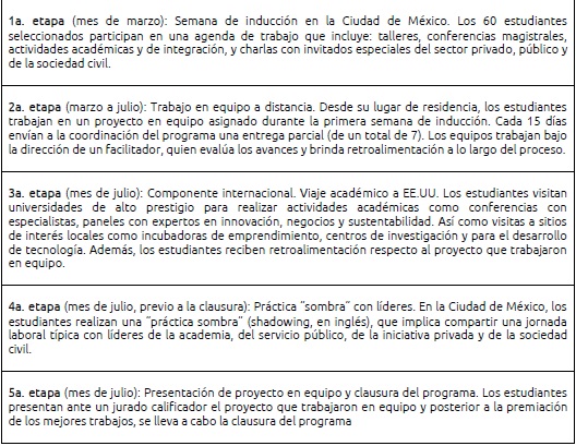 Programa Talentum-Universidad (5 Etapas)