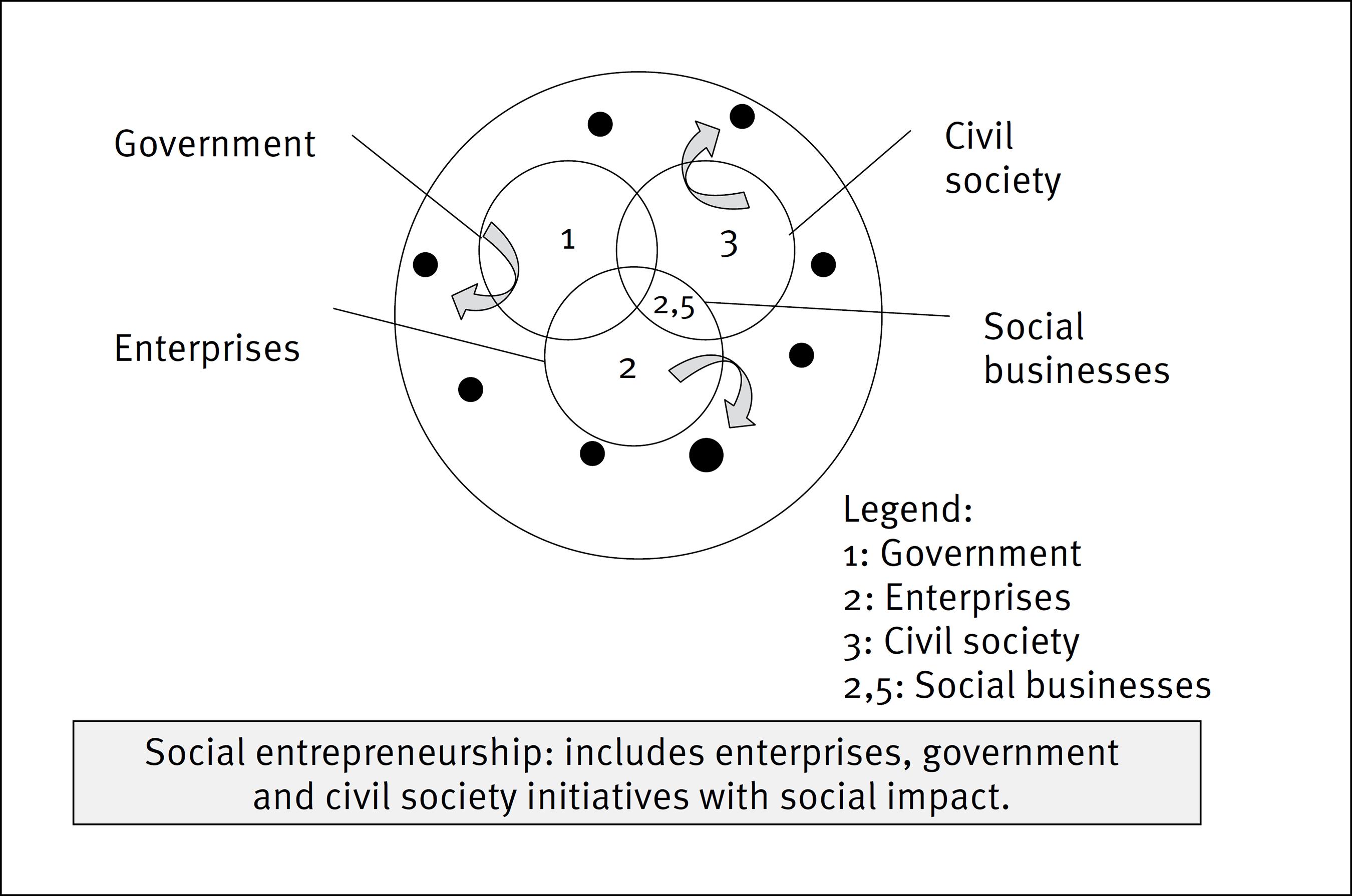 Actors in social entrepreneurship: government, enterprises, civil society
                     and social businesses