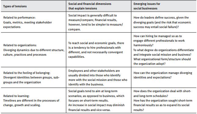 Types of tensions in social businesses