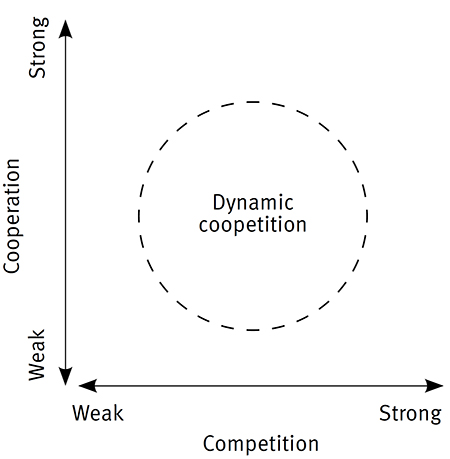 The arena for dynamic coopetition