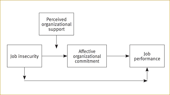 Conceptual model of the current study