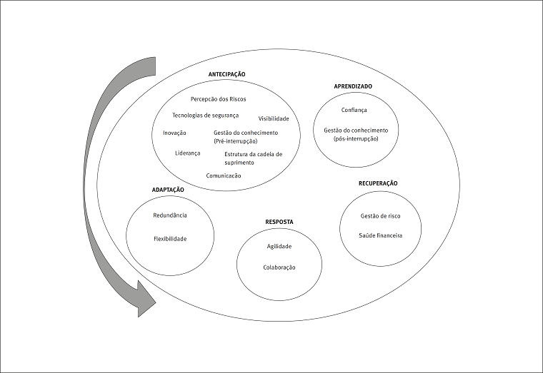 Elementos da resili&ecirc;ncia