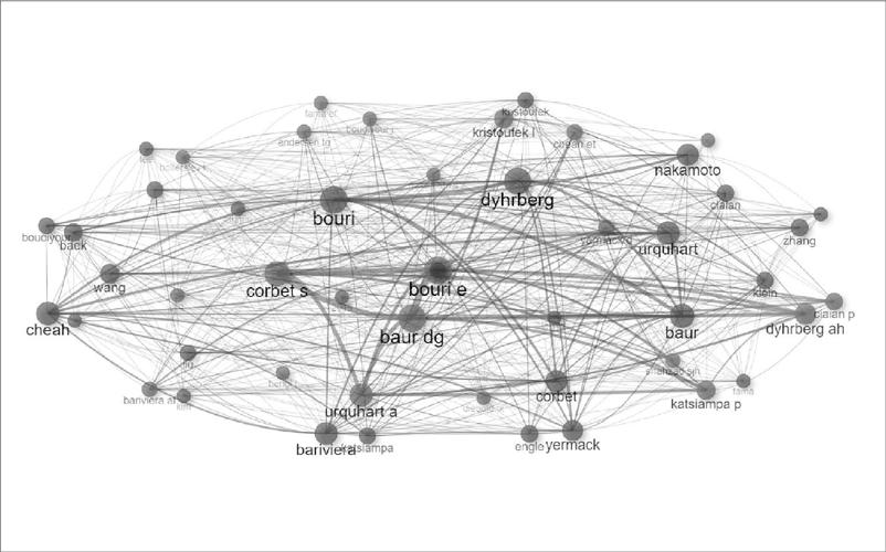 Rede de cocitações sobre o tema de 2009 a dezembro de 2021
