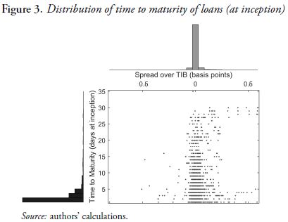 Distribution of time to maturity of loans (at inception)