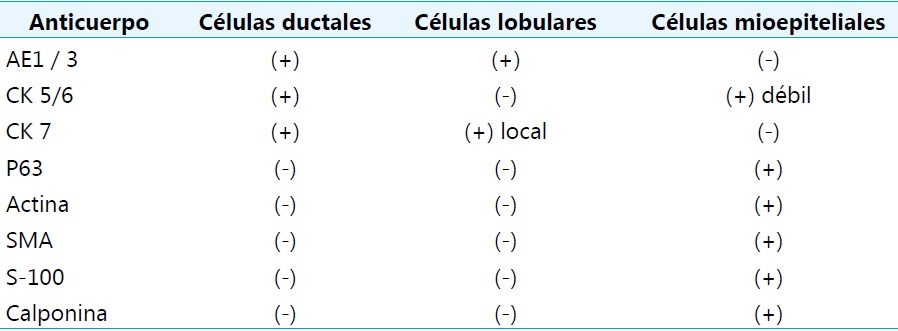 Características inmunohistoquímicas del adenomioepitelioma