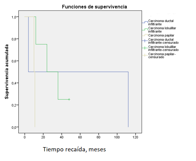 Supervivencia libre de enfermedad seg�n el tipo histol�gico para tumores infiltrantes (p=0.20).