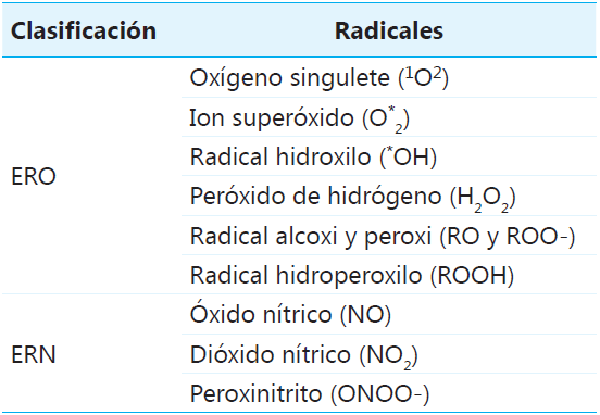 Especies reactivas de oxgeno y nitrgeno