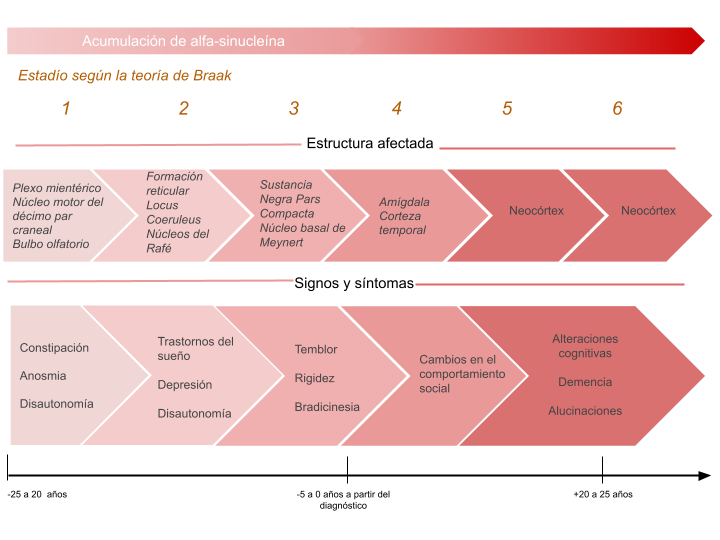 Etapas de la enfermedad d Prkinson.