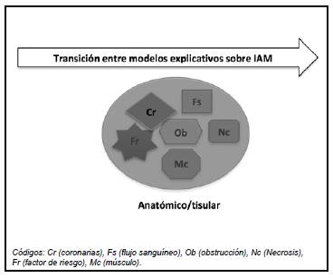 Modelo explicativo sobre IAM de E7, fase inicial.