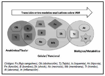 Modelo explicativo sobre IAM fase final.